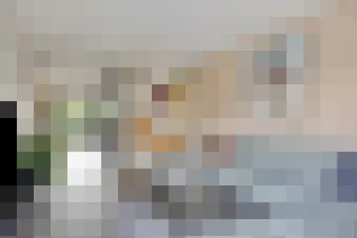 Kleine Vuurvlinder 19 Mierlo thumbnail 15