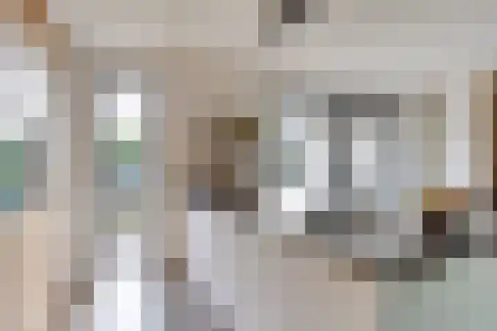 Kleine Vuurvlinder 19 Mierlo thumbnail 20