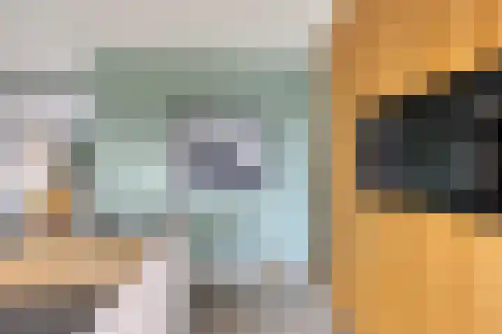 Kleine Vuurvlinder 19 Mierlo thumbnail 21