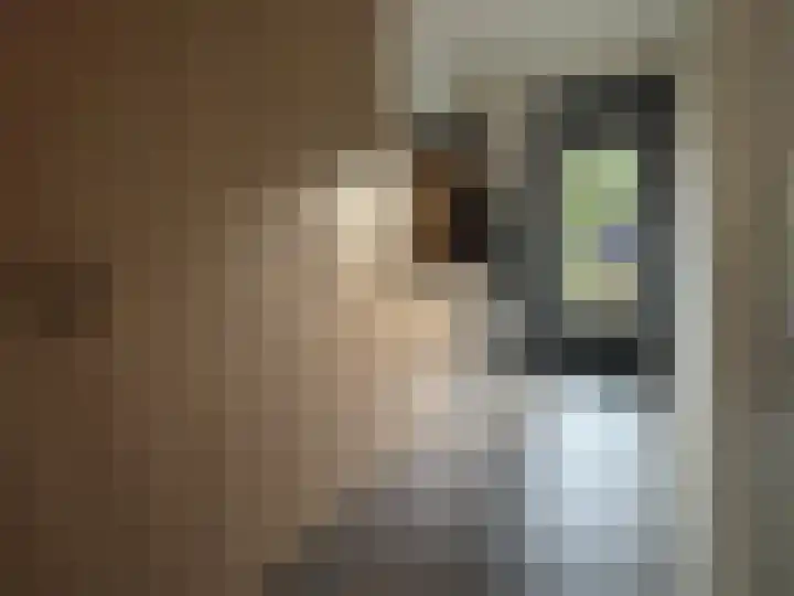 Kleine Vuurvlinder 19 Mierlo thumbnail 22