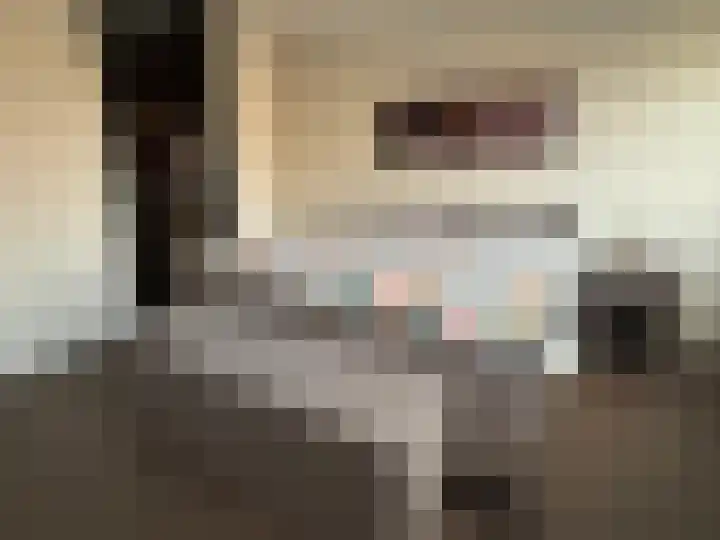 Kleine Vuurvlinder 19 Mierlo thumbnail 24