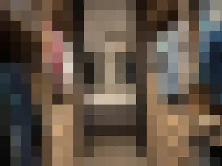 Kleine Vuurvlinder 19 Mierlo thumbnail 25