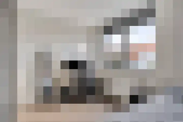 Kleine Vuurvlinder 19 Mierlo thumbnail 28