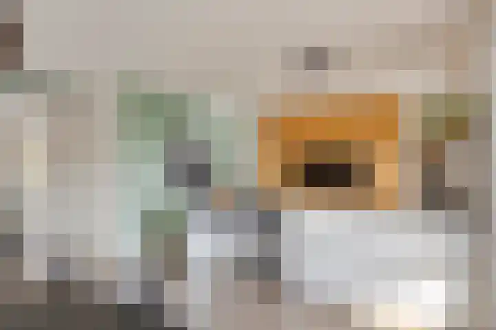 Kleine Vuurvlinder 19 Mierlo foto 3
