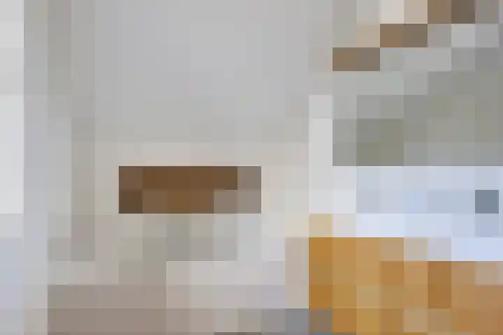 Kleine Vuurvlinder 19 Mierlo thumbnail 30