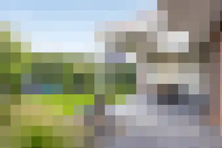 Kleine Vuurvlinder 19 Mierlo thumbnail 36