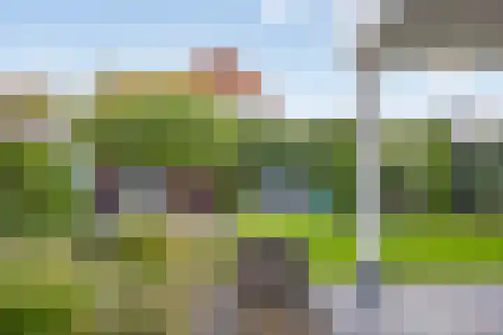 Kleine Vuurvlinder 19 Mierlo thumbnail 37