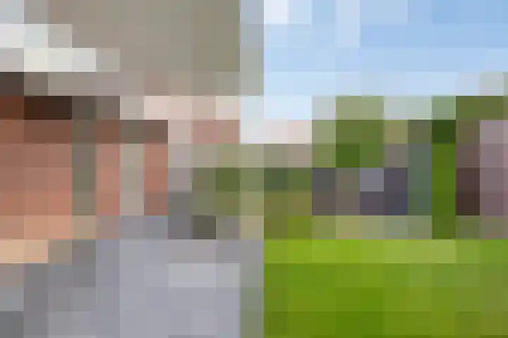 Kleine Vuurvlinder 19 Mierlo thumbnail 38