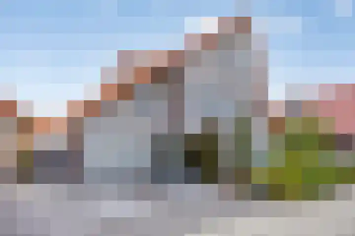 Kleine Vuurvlinder 19 Mierlo thumbnail 41