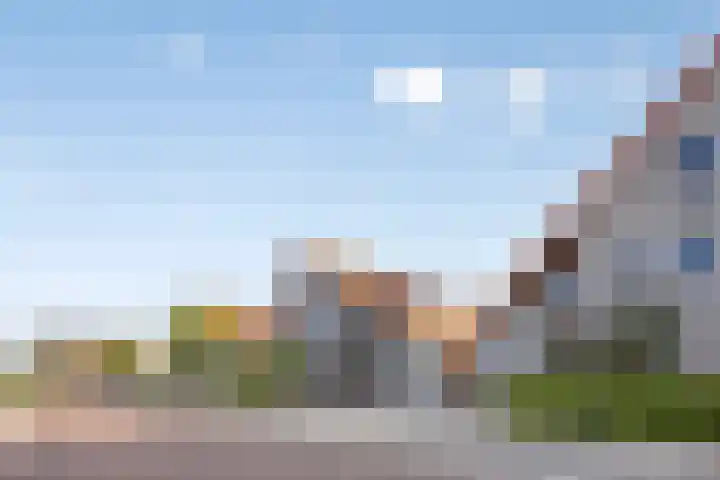 Kleine Vuurvlinder 19 Mierlo thumbnail 43