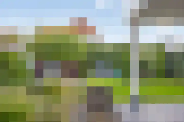 Kleine Vuurvlinder 19 Mierlo thumbnail 6