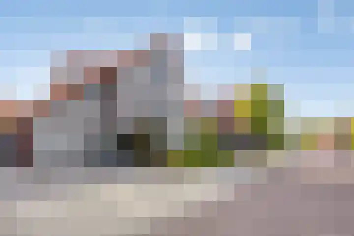 Kleine Vuurvlinder 19 Mierlo thumbnail 7