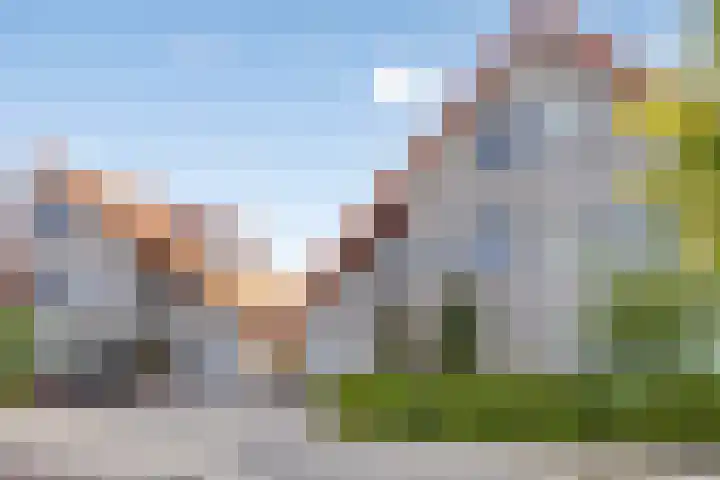 Kleine Vuurvlinder 19 Mierlo thumbnail 8