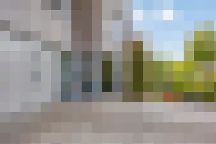 Kleine Vuurvlinder 19 Mierlo thumbnail 9