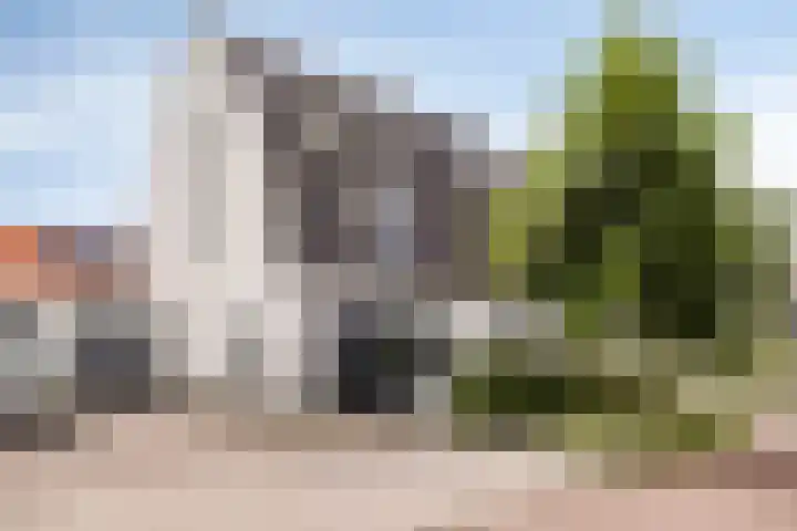 Kleine Vuurvlinder 33 in Mierlo