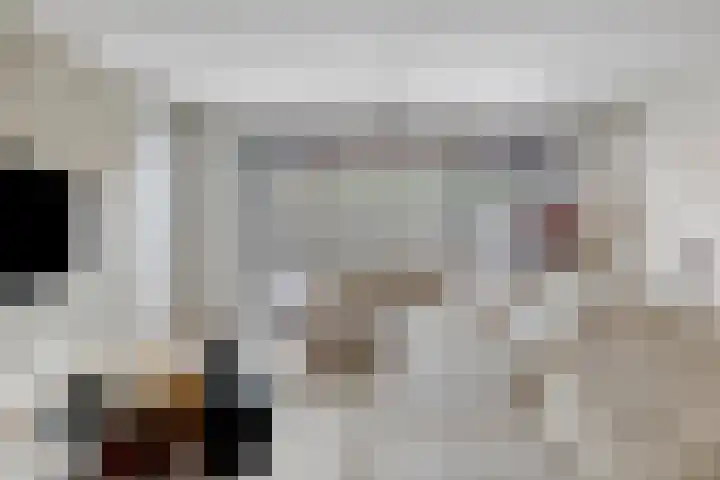 Kleine Vuurvlinder 33 Mierlo thumbnail 10