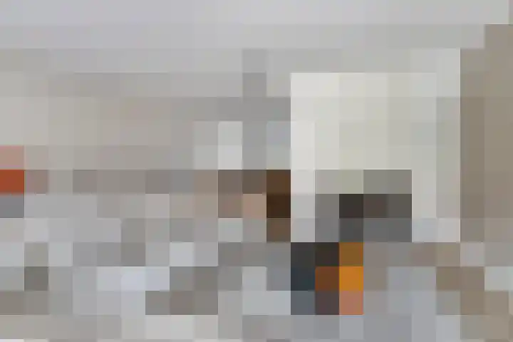 Kleine Vuurvlinder 33 Mierlo thumbnail 11