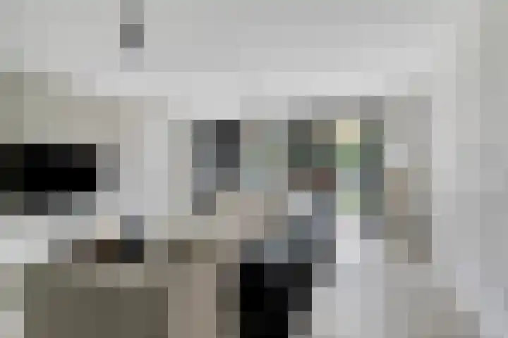 Kleine Vuurvlinder 33 Mierlo thumbnail 12