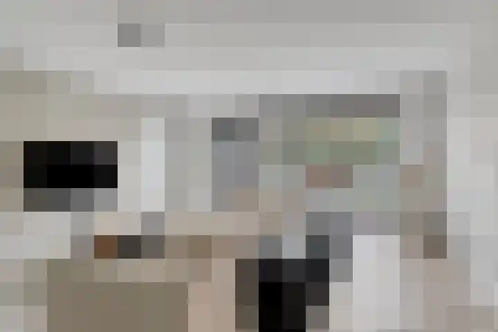 Kleine Vuurvlinder 33 Mierlo thumbnail 13