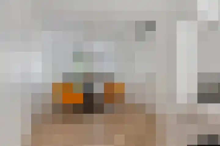 Kleine Vuurvlinder 33 Mierlo thumbnail 14