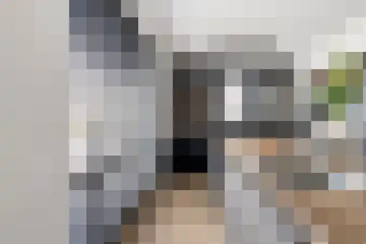 Kleine Vuurvlinder 33 Mierlo thumbnail 17