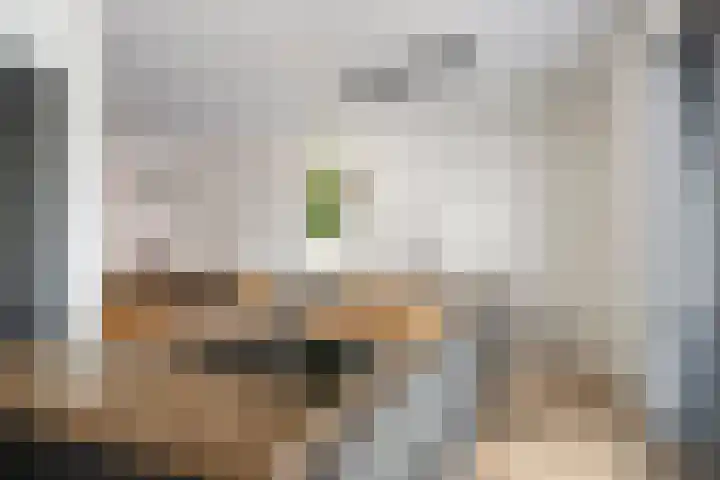 Kleine Vuurvlinder 33 Mierlo thumbnail 19