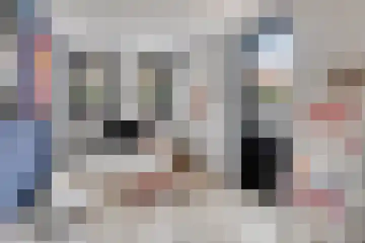 Kleine Vuurvlinder 33 Mierlo thumbnail 20