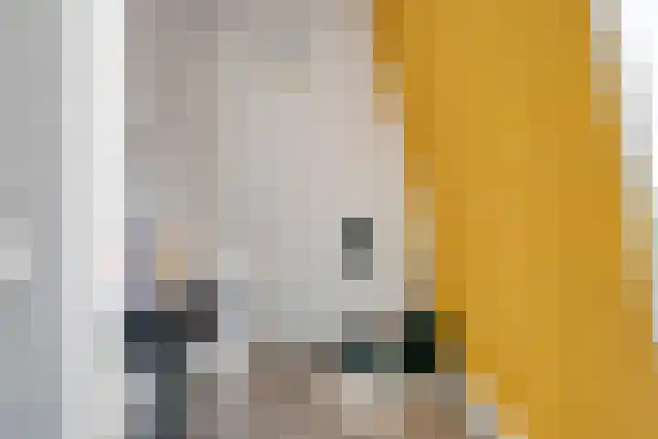 Kleine Vuurvlinder 33 Mierlo thumbnail 24
