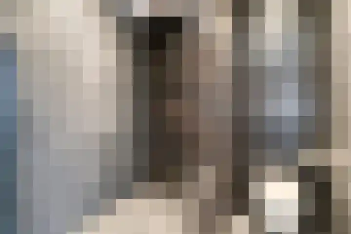 Kleine Vuurvlinder 33 Mierlo thumbnail 25