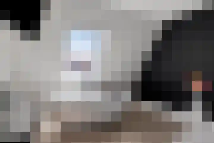 Kleine Vuurvlinder 33 Mierlo thumbnail 28
