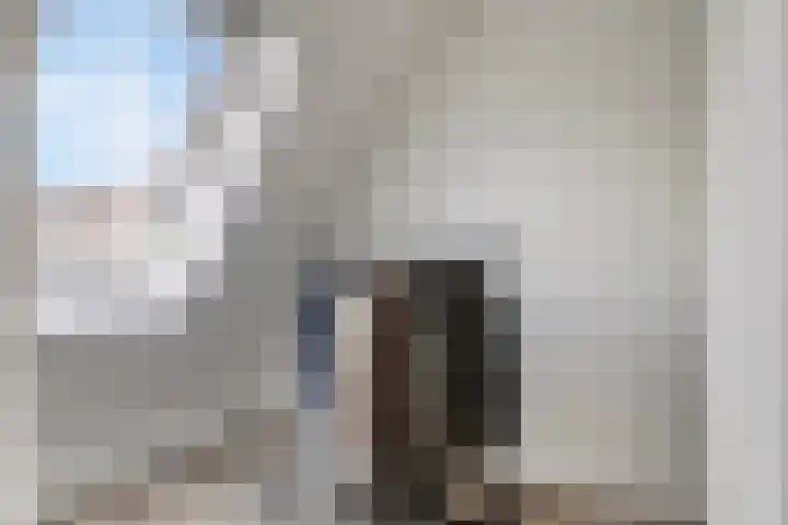 Kleine Vuurvlinder 33 Mierlo thumbnail 30