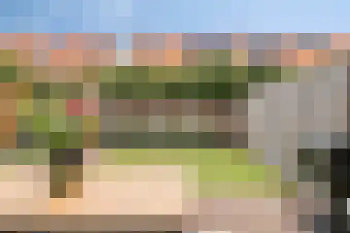 Kleine Vuurvlinder 33 Mierlo thumbnail 31