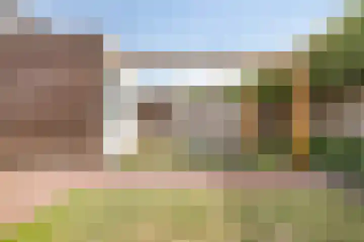 Kleine Vuurvlinder 33 Mierlo thumbnail 32