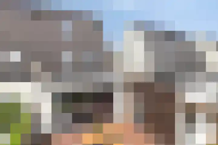 Kleine Vuurvlinder 33 Mierlo thumbnail 34