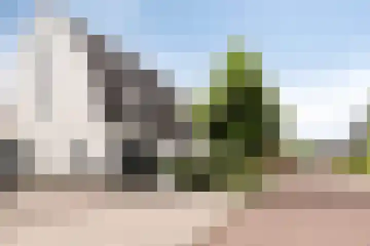 Kleine Vuurvlinder 33 Mierlo thumbnail 35