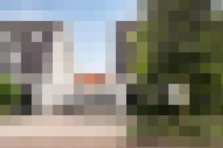 Kleine Vuurvlinder 33 Mierlo thumbnail 36