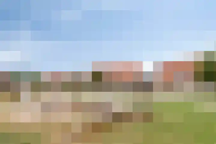 Kleine Vuurvlinder 33 Mierlo thumbnail 38
