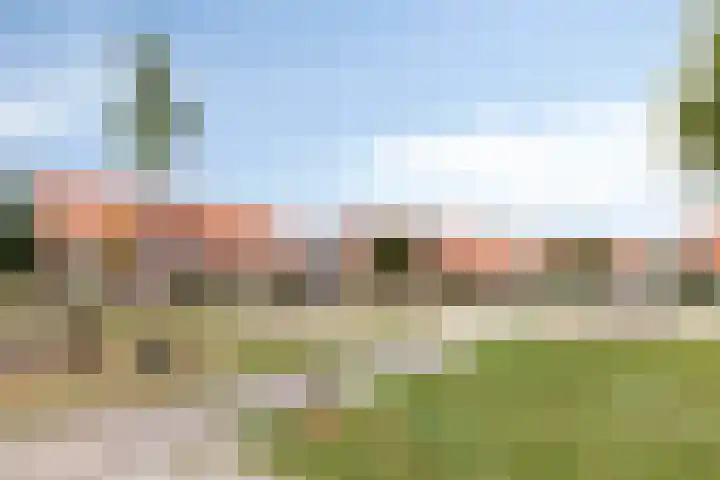 Kleine Vuurvlinder 33 Mierlo thumbnail 39