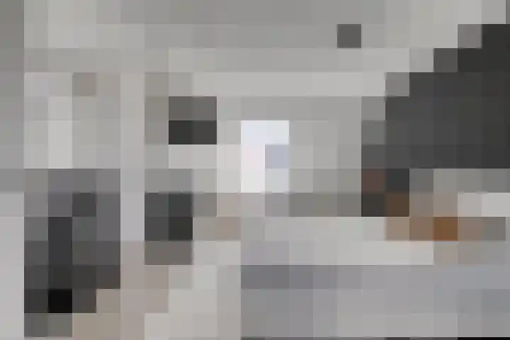 Kleine Vuurvlinder 33 Mierlo thumbnail 5