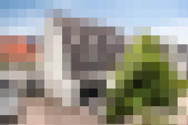 Kleine Vuurvlinder 33 Mierlo thumbnail 7