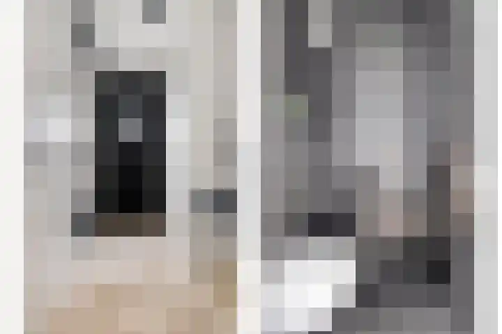 Kleine Vuurvlinder 33 Mierlo thumbnail 8