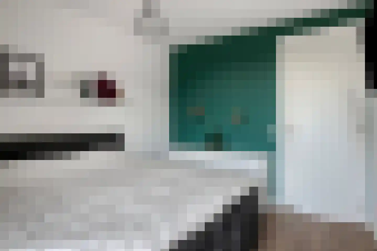 Kleine Vuurvlinder 43 Mierlo thumbnail 21