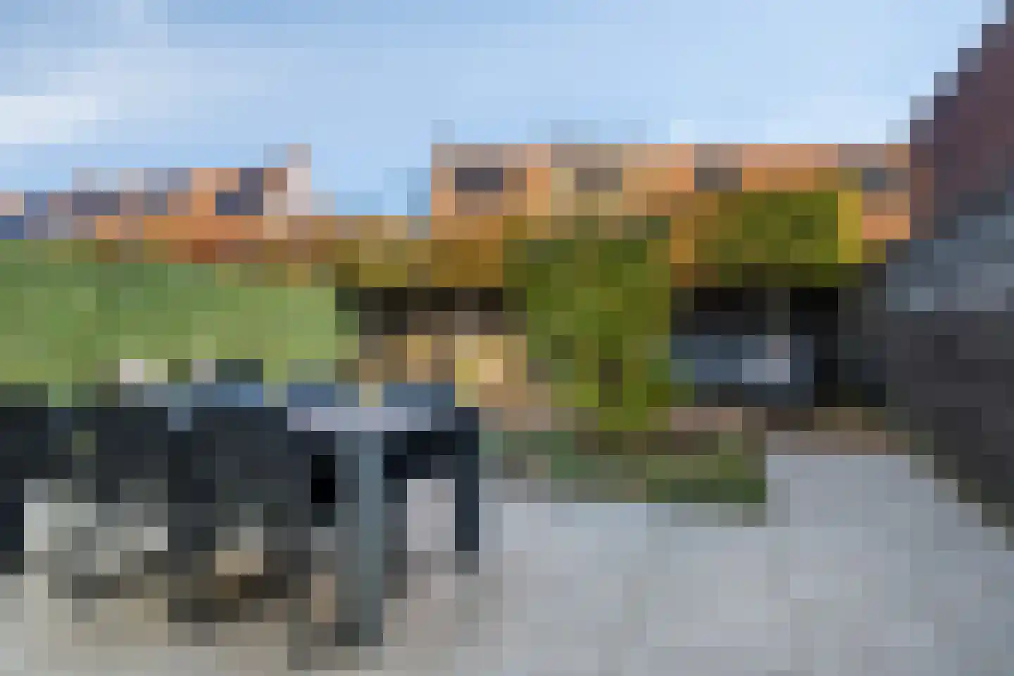Kleine Vuurvlinder 43 Mierlo thumbnail 28