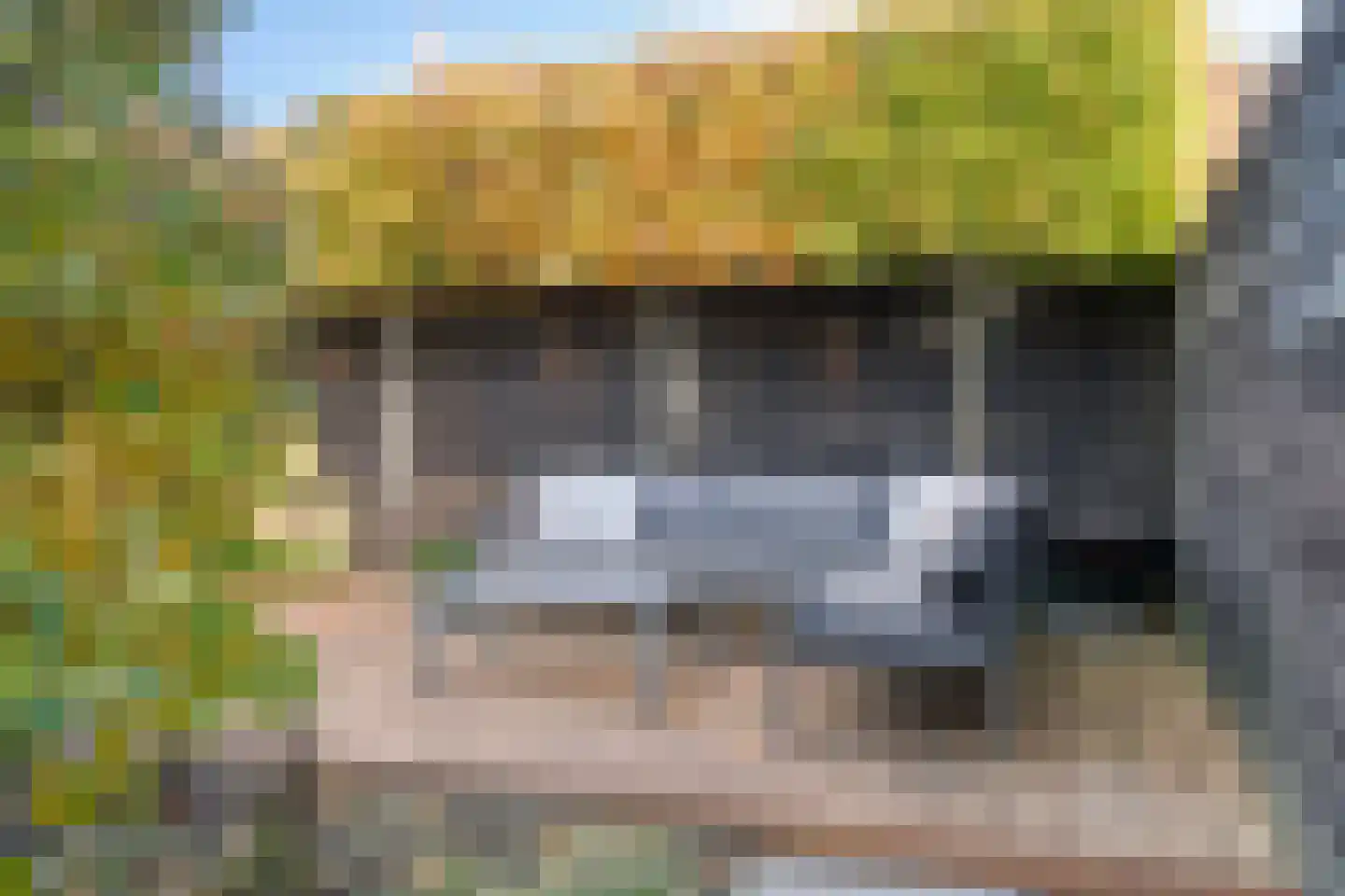 Kleine Vuurvlinder 43 Mierlo thumbnail 30
