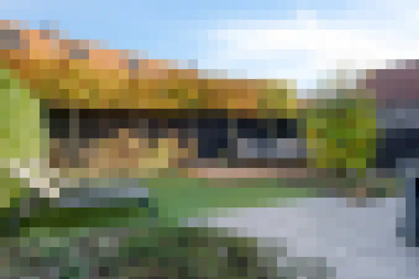 Kleine Vuurvlinder 43 Mierlo thumbnail 6