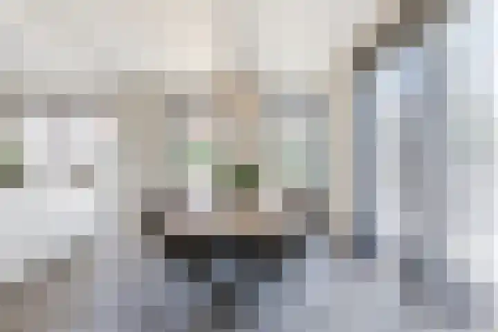 Kleine Vuurvlinder 45 Mierlo thumbnail 11