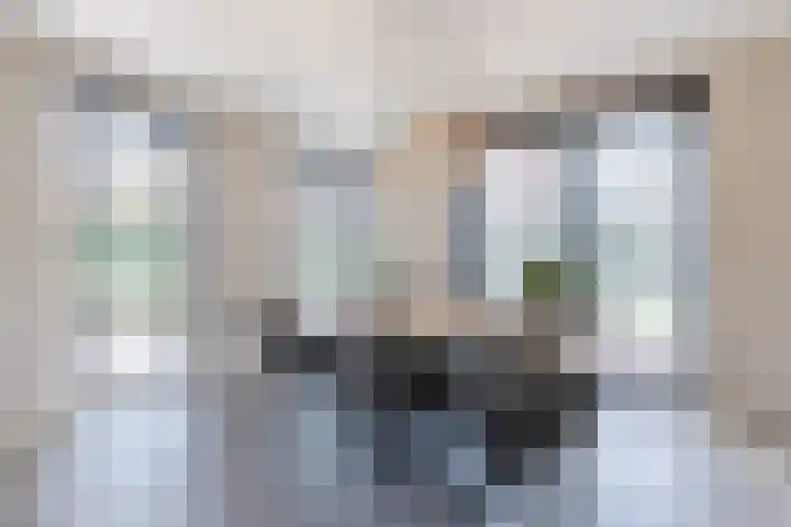 Kleine Vuurvlinder 45 Mierlo thumbnail 12