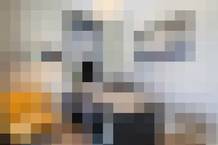 Kleine Vuurvlinder 45 Mierlo thumbnail 14