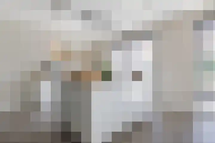 Kleine Vuurvlinder 45 Mierlo thumbnail 15