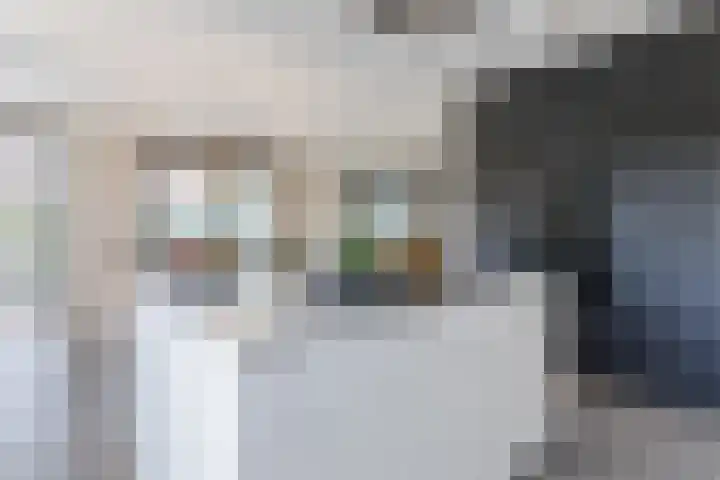 Kleine Vuurvlinder 45 Mierlo thumbnail 17